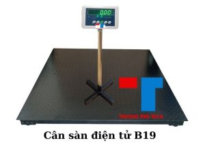 Cân Sàn điện Tử B19