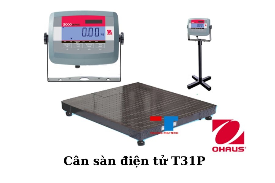 Cân Sàn điện Tử T31P